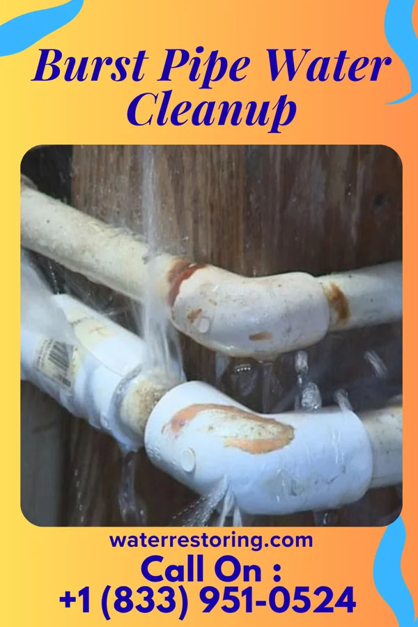 Burst Pipe Water Cleanup in Bethany, WV