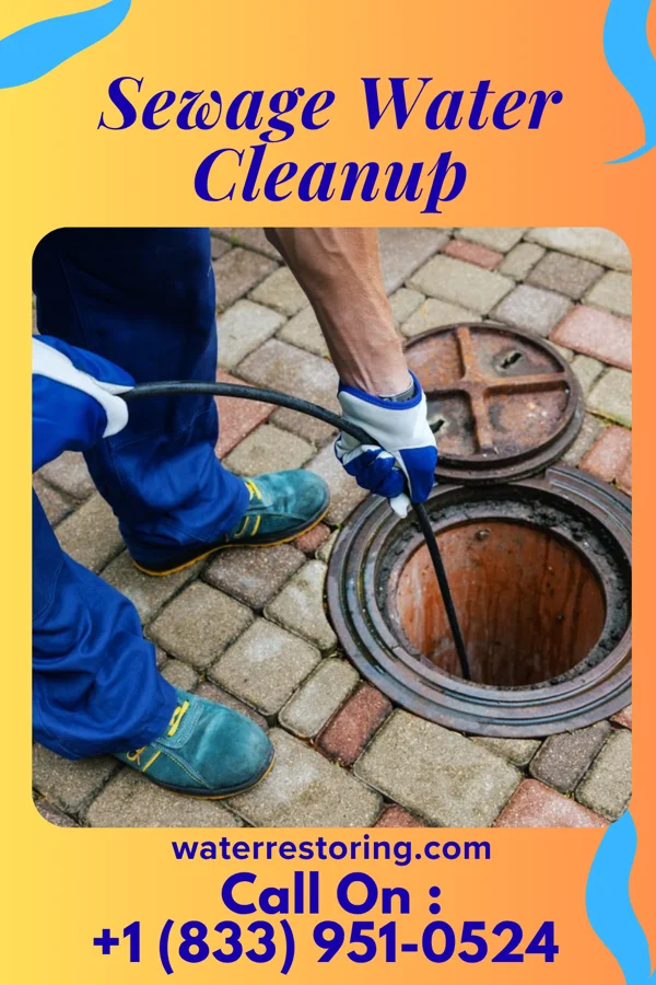 Sewage Water Cleanup in Bethany, WV