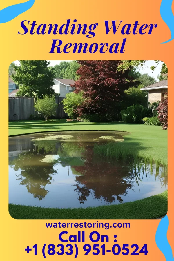 Standing Water Removal in Bethany, WV